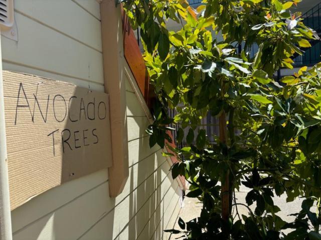 Alameda 2 Bedroom 2 Ba Apt, Ac, 3 Blocks To Beach & Shopping Center & Free Parking 외부 사진